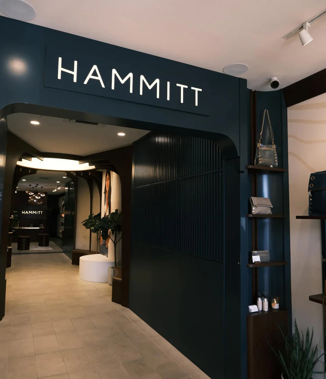 Hammitt
