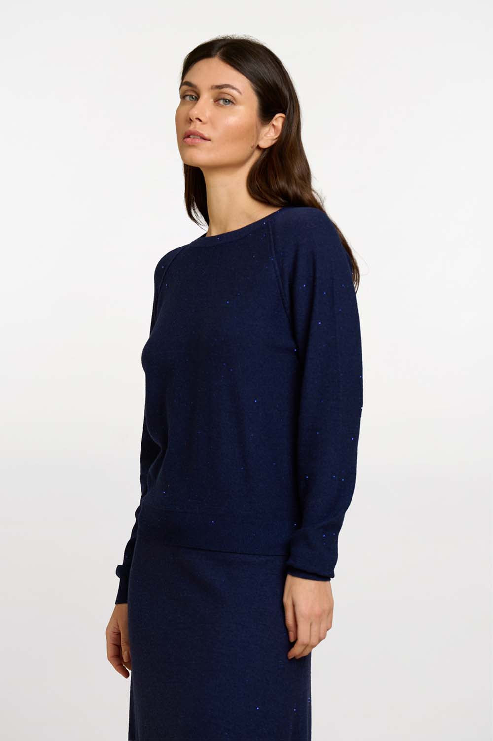 Sequin Knit Sweater