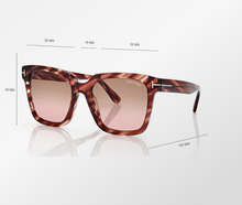 Load image into Gallery viewer, Selby Sunglasses