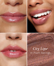 Load image into Gallery viewer, Plum Springs Lip Plumper
