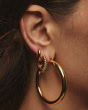 Load image into Gallery viewer, Amalfi Tube Hoops
